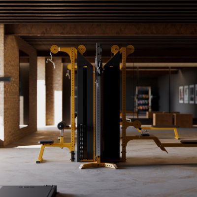 Eleiko Cable Design - Home Gym Setup