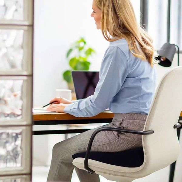 Backjoy plus tempur posture seat1