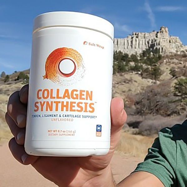 Collagen synthesis2