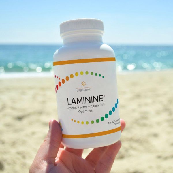 Laminine omega4