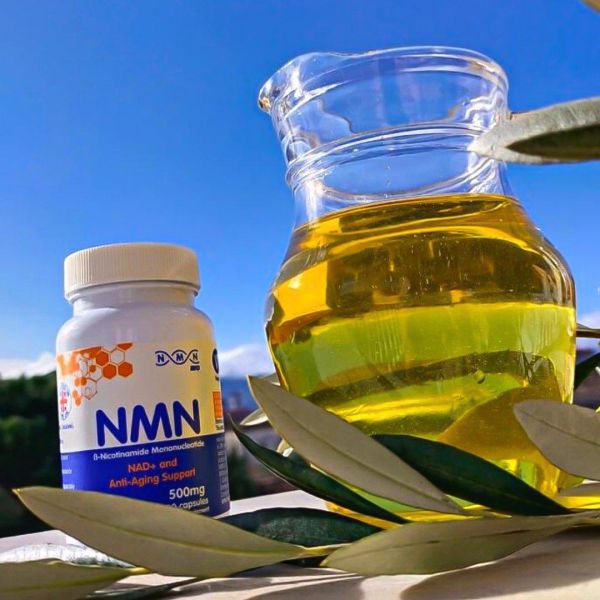 Nmn supplement capsules 500mg2