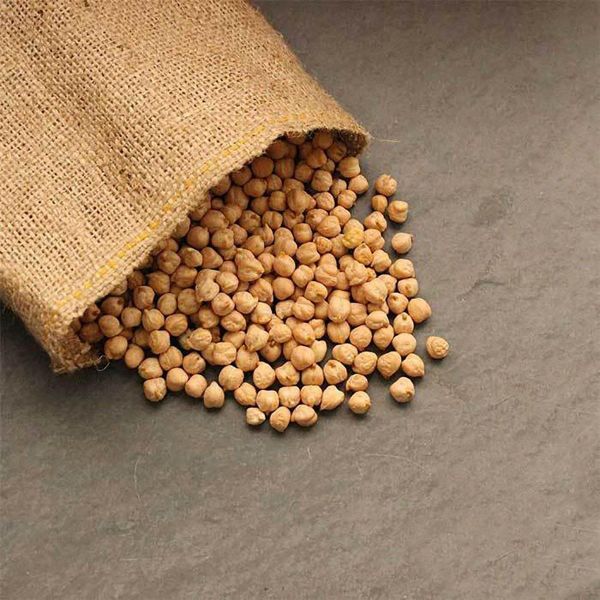 Organic garbanzo beans chick peas 2