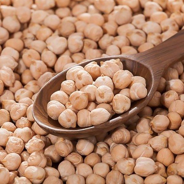 Organic garbanzo beans chick peas 3