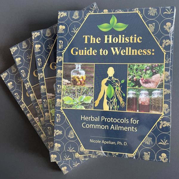 The holistic guide to wellness physical1